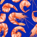 A seamless pattern with the watercolor shrimps Royalty Free Stock Photo