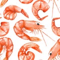 A seamless pattern with the watercolor shrimps Royalty Free Stock Photo