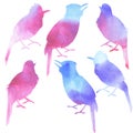 Seamless pattern watercolor singing birds