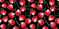 Seamless pattern of watercolor single Cherries on the black background. Hand drawn bright texture, images of berry in sketch style Royalty Free Stock Photo