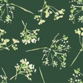 Seamless pattern from watercolor sketches of umbrella wildflowers