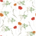 Seamless pattern of watercolor small field wild red orange green flowers on a white background. Royalty Free Stock Photo