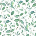 Seamless pattern with watercolor snowberry