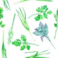 A seamless pattern with the watercolor spices: onion green, dill, parsley, cilantro and basil