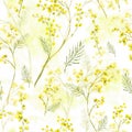 Seamless Pattern with Watercolor Sprig of Mimosa