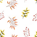 Seamless pattern with watercolor sprigs, leaves, berries, rowan. Illustration isolated on white. Hand drawn autumn items