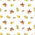 Seamless pattern with watercolor sprigs, leaves, bird, acorn. Illustration isolated on white. Hand drawn autumn items Royalty Free Stock Photo