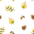 Seamless pattern with watercolor sprigs, leaves, pine cone, acorn. Illustration isolated on white. Hand drawn autumn items Royalty Free Stock Photo