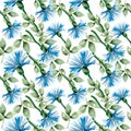 seamless pattern, watercolor summer flowers bouquet cornflowers Royalty Free Stock Photo