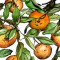 Seamless pattern, watercolor tangerines