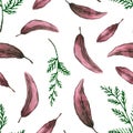 Seamless pattern with watercolor thuja branches with lilac leaves. Hand drawn illustration is isolated on white. Repeat ornament