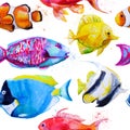Seamless pattern with watercolor tropical fish Royalty Free Stock Photo