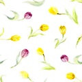 Seamless pattern - watercolor tulips Royalty Free Stock Photo