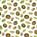 Seamless pattern with watercolor walnuts elements Royalty Free Stock Photo