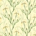 Seamless pattern with watercolor wild flowers iris on cream background. Royalty Free Stock Photo