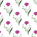 Seamless pattern with watercolor wildflowers on white background.