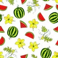Seamless pattern of watermelon fruit, pieces of watermelon, flowers. eps10 vector stock illustration.
