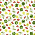 Seamless pattern of watermelon fruit, pieces of watermelon, flowers. eps10 vector stock illustration.