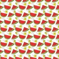 Seamless pattern of watermelon fruit, pieces of watermelon, flowers. eps10 vector stock illustration.