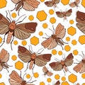 Seamless pattern with wax moth