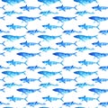 Seamless pattern of a whale, dolphin and shark.