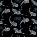 Seamless pattern with whales. Royalty Free Stock Photo