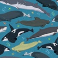 Seamless pattern with whales, modern texture with marine mammals, finback, spermwhale, bowhead, orca, pilot whale, right whale
