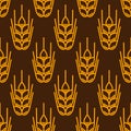 Seamless pattern with wheat. Agricultural image natural ears of barley or rye.
