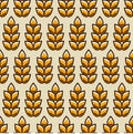 Seamless pattern with wheat. Agricultural image natural ears of barley or rye