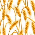 Seamless pattern with wheat. Agricultural image natural golden ears of barley or rye.