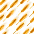 Seamless pattern with wheat. Agricultural image natural golden ears of barley or rye Royalty Free Stock Photo