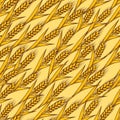 Seamless pattern with wheat. Agricultural image with natural ears of barley or rye. Royalty Free Stock Photo