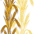 Seamless pattern with wheat. Agricultural image with natural ears of barley or rye. Royalty Free Stock Photo
