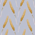 Seamless pattern of wheat