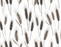 Seamless pattern with wheat ears on a white background, hand-drawn illustration Royalty Free Stock Photo