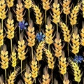 Seamless pattern with wheat field. rye watercolor illustration. Royalty Free Stock Photo