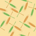 Seamless pattern with wheat. Organic