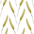 Seamless pattern of wheat