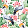 Seamless pattern on white background with water lilies and black crowned crane