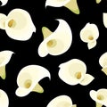 Seamless pattern with white calla lilies on black. Royalty Free Stock Photo