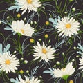 Seamless pattern with white chamomile flowers and sagebrush. Rustic floral background.