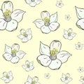 Seamless pattern with white citrus flowers