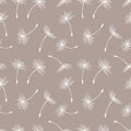 Seamless pattern, white dandelion fluffs on a beige background. Print, background, textile, vector Royalty Free Stock Photo