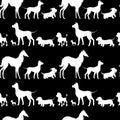 Seamless pattern with white dogs silhouettes - Dachshund, Dog, c Royalty Free Stock Photo