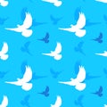 Seamless pattern with white doves on a blue background. wedding, birthday, romantic background. Love concept. Royalty Free Stock Photo