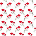 Seamless pattern red poppies on white background Royalty Free Stock Photo