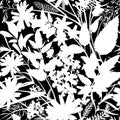 Seamless pattern with white flowers - Chamomilla, Campanula, Achillea Millefolium and grass isolated on the black background.