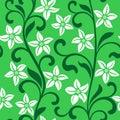 Seamless pattern with white flowers on a green background