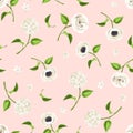 Seamless pattern with white flowers on pink. Vector illustration. Royalty Free Stock Photo