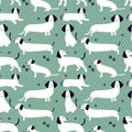 Seamless pattern with white german badger-dog, dachshund. Cute cartoon character. Animal print